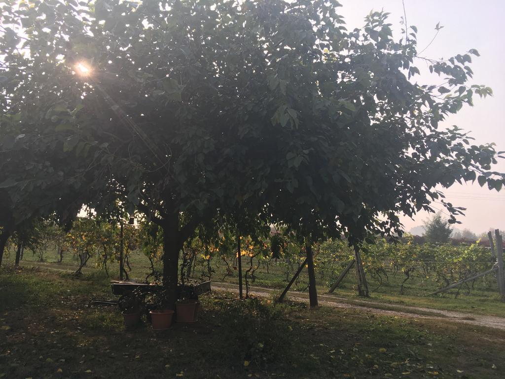 Le Magnolie Agriturismo Verolanuova Eksteriør bilde